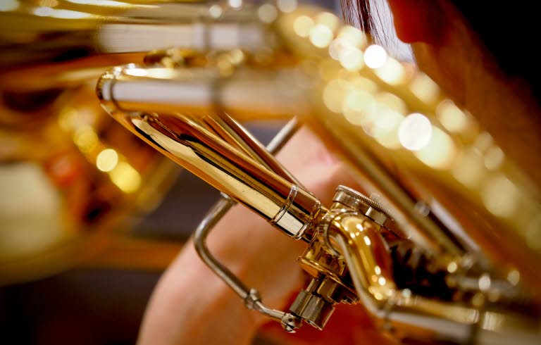 Närbild av ventilklaff på bläckblåsintrument.