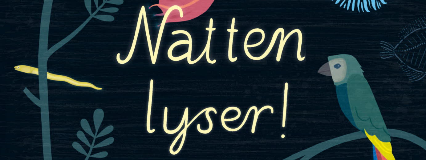Image -Natten lyser_-LenaSjoberg.jpg