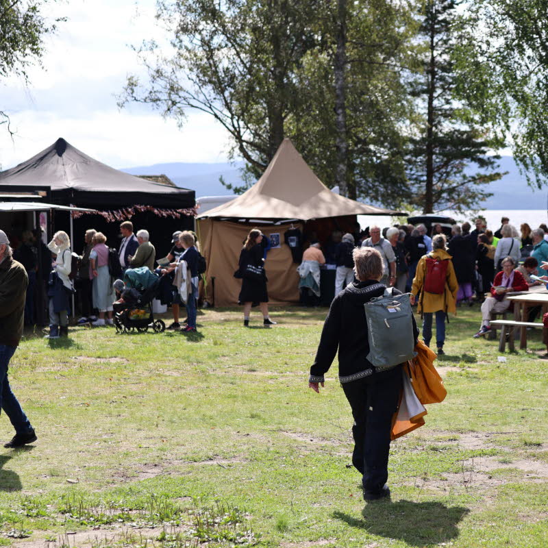 Festivalområde utomhus i Ådalen.