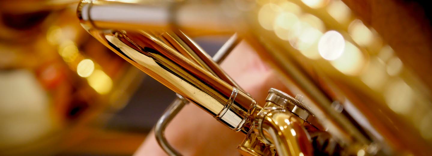 Närbild av ventilklaff på bläckblåsintrument.