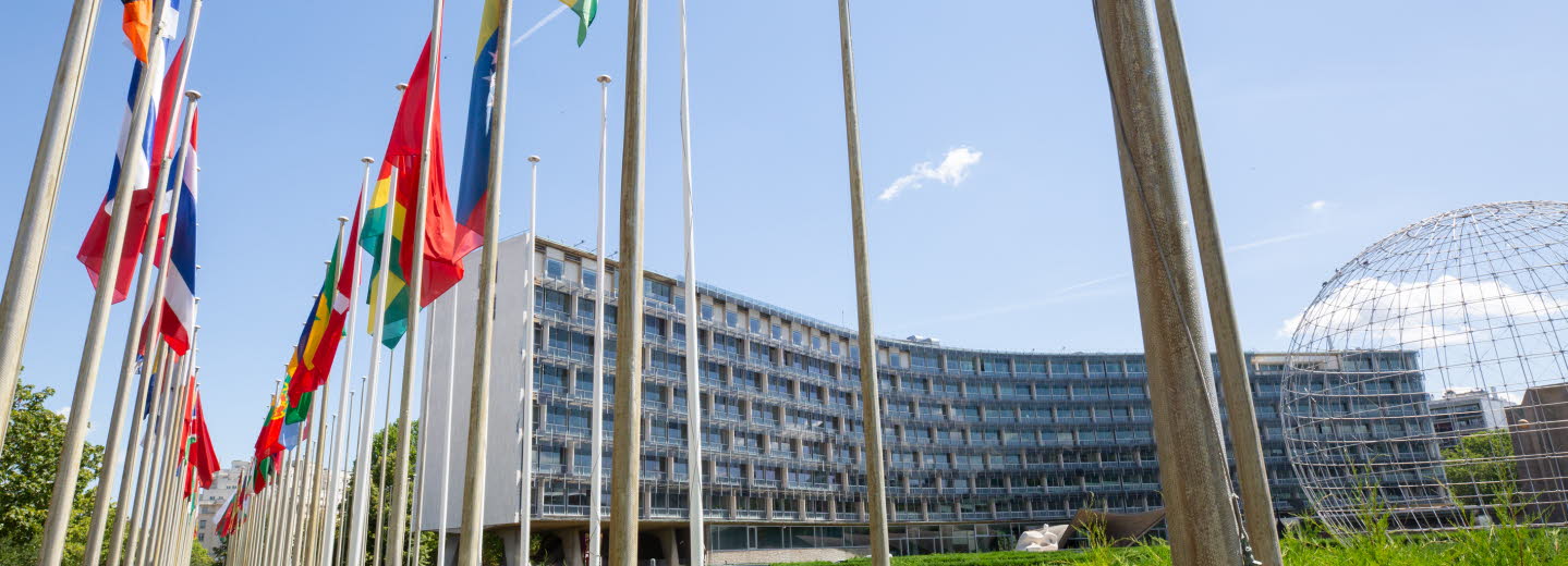 Flaggor utanför Unescos högkvarter i Paris.
