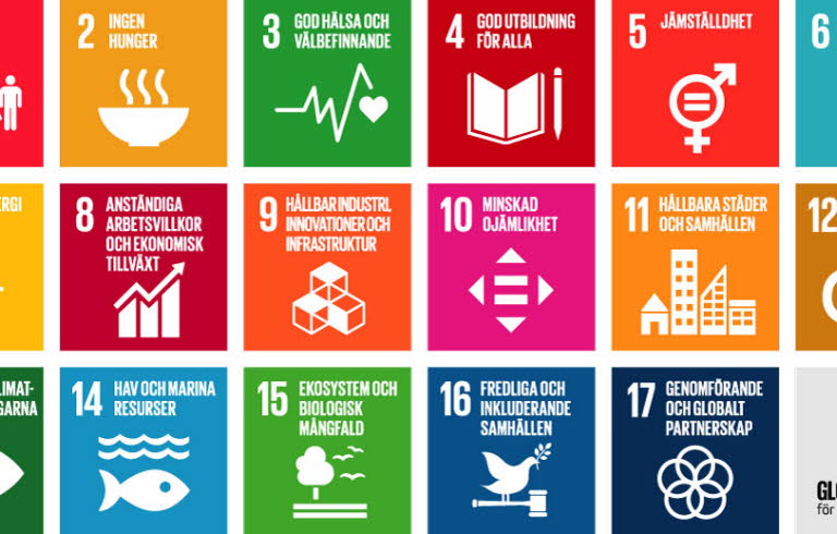 De sjutton globala målen för hållbar utveckling.