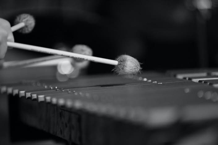 Xylofon i svartvit närbild.