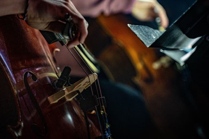 Stråkdrag över cellosträngar.