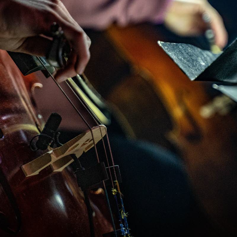 Stråkdrag över cellosträngar.
