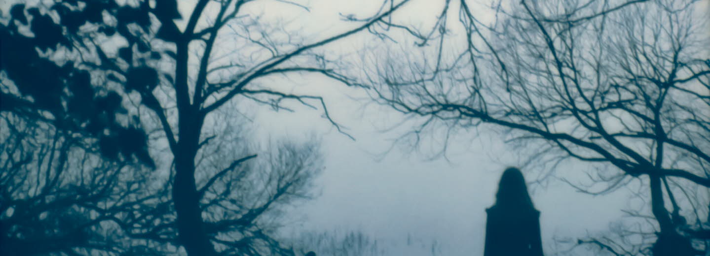 Konstfoto: mörka trädstammar och grenar, mörk siluett av person, grå himmel i bakgrunden.strid Kruse Jensen – The Landscape of Memory.