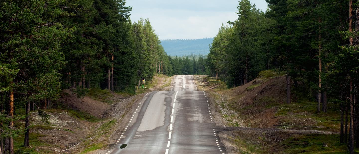 Landsväg i norra Sverige omgiven av skog.