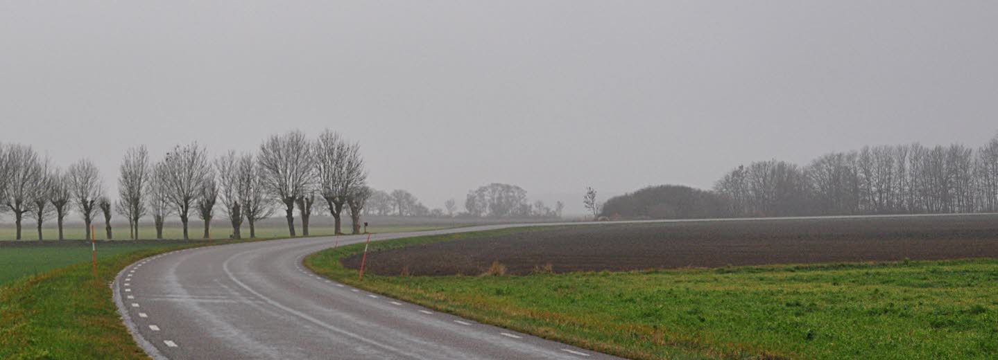 Landsväg i duggregn och dimma, Vallsten, Gotland.
