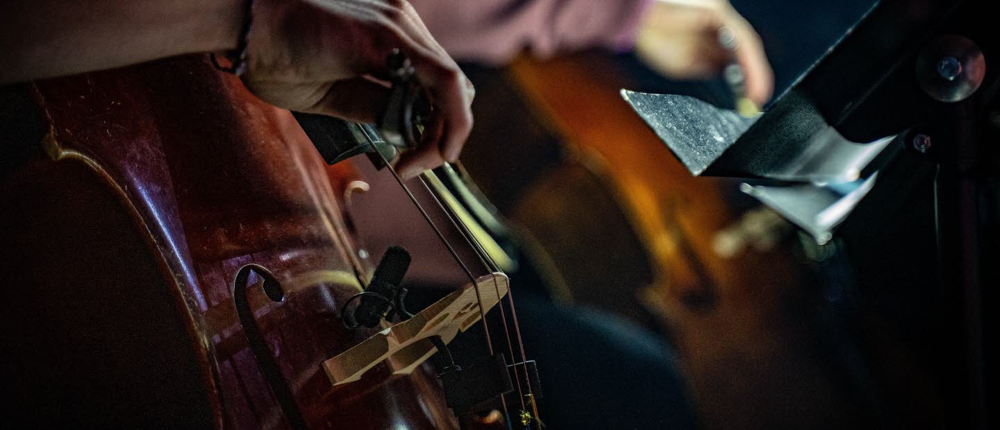 Stråkdrag över cellosträngar.