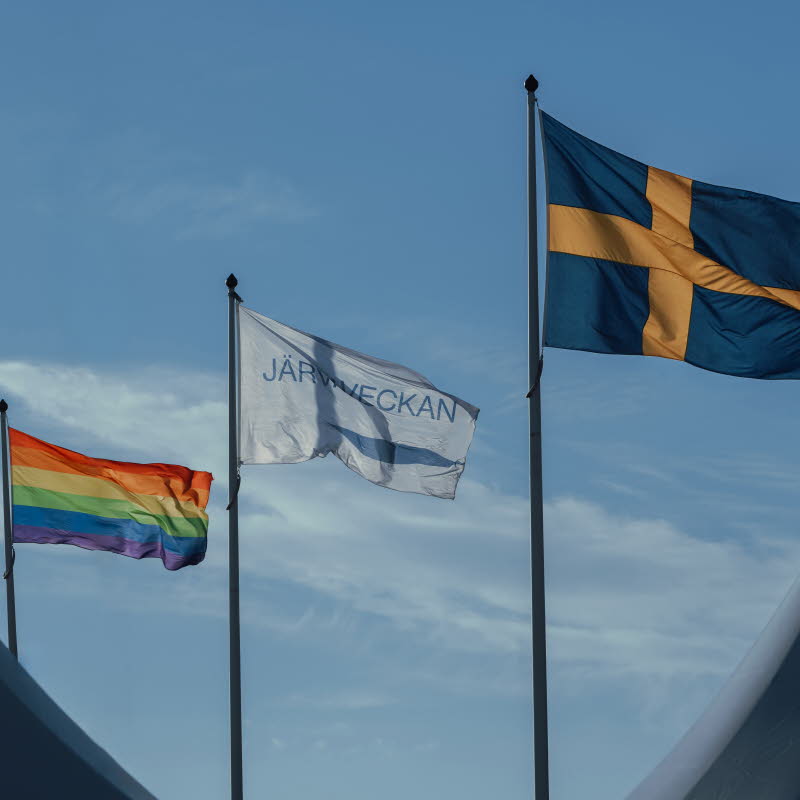Regnbågsflagga, Järvaveckanflagga och svensk flagga mot blå himmel.