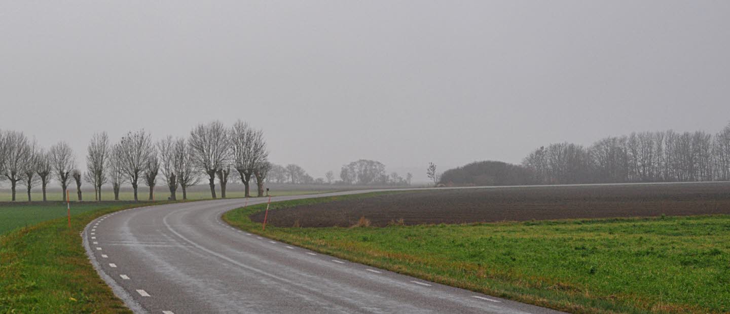 Landsväg i duggregn och dimma, Vallsten, Gotland.