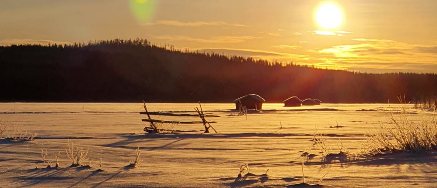 Vinterbild från myr med lador i bakgrunden och en lågt stående sol.