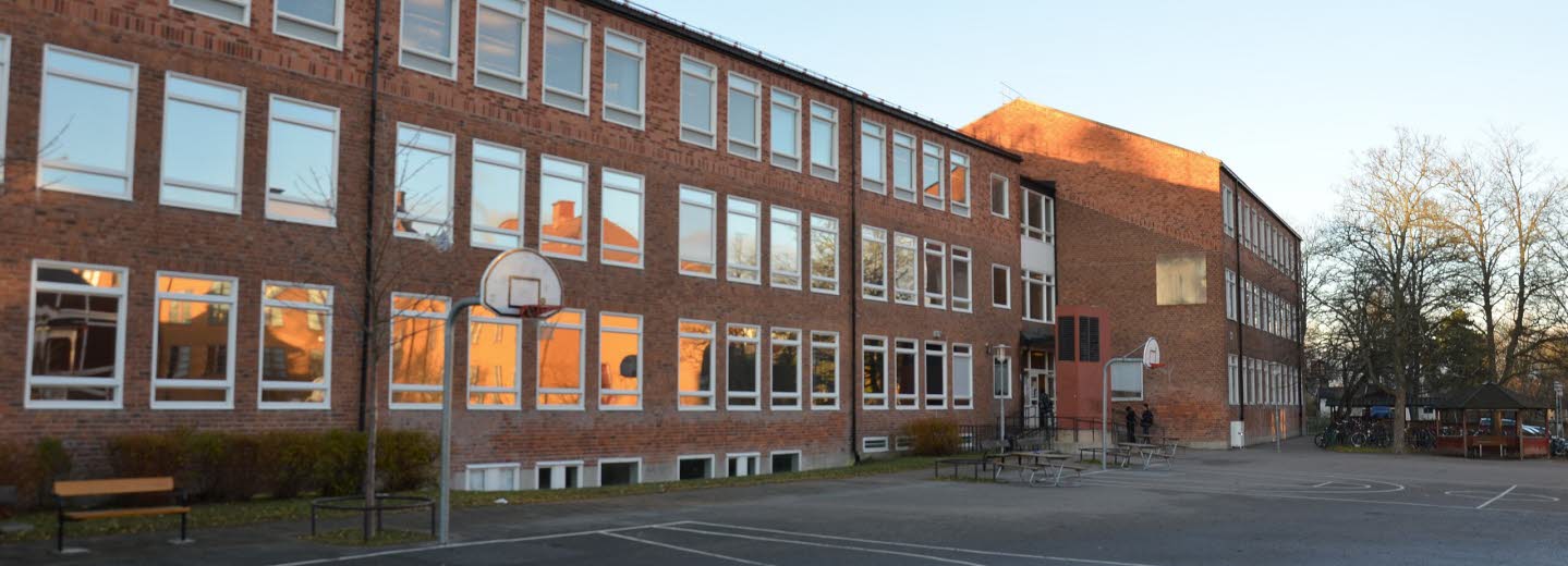 Mälarhöjdens högstadieskola, skolgård
