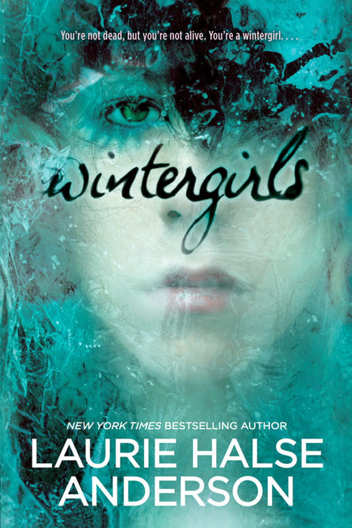 Laurie Halse Anderson, Wintergirls