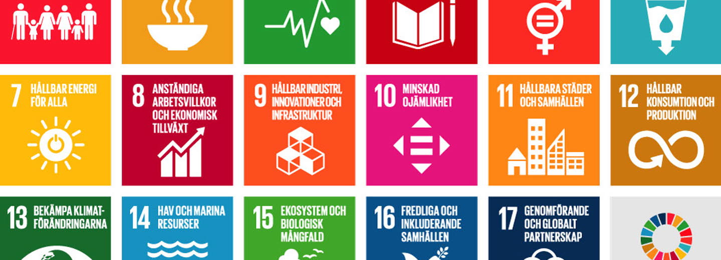De sjutton globala målen för hållbar utveckling.