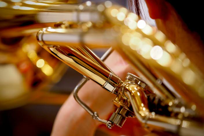 Närbild av ventilklaff på bläckblåsintrument.