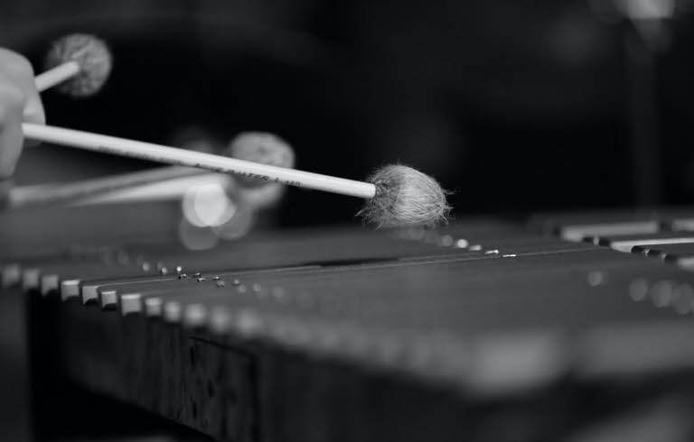 Xylofon i svartvit närbild.