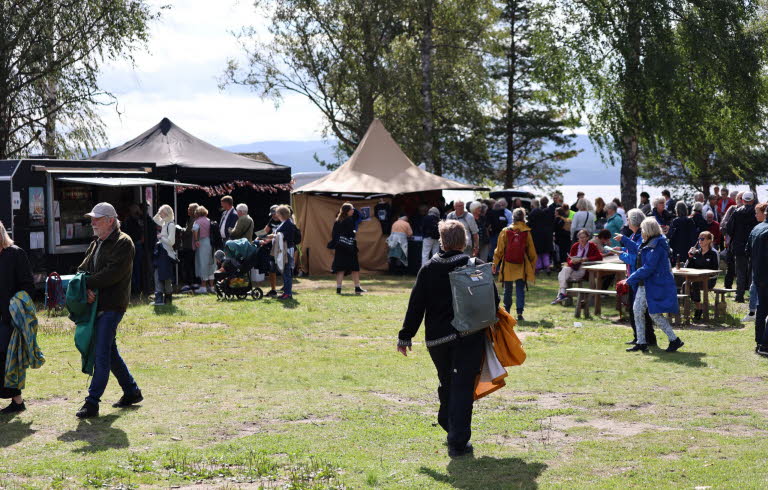 Festivalområde utomhus i Ådalen.