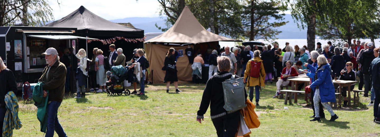Festivalområde utomhus i Ådalen.