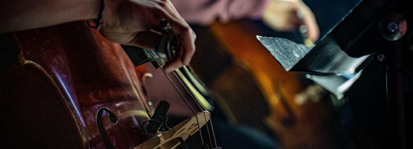 Stråkdrag över cellosträngar.