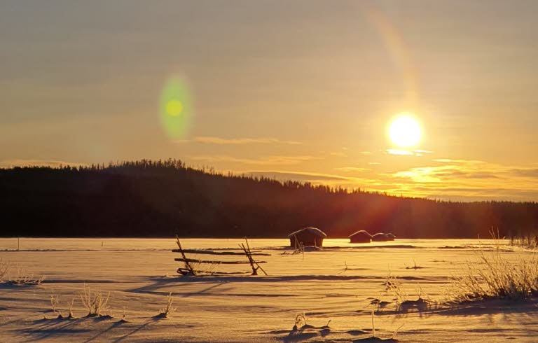 Vinterbild från myr med lador i bakgrunden och en lågt stående sol.