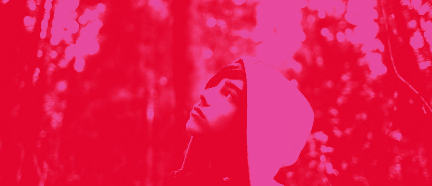 Omslag Statistikrapport Rosa bild på en pojke i en skog