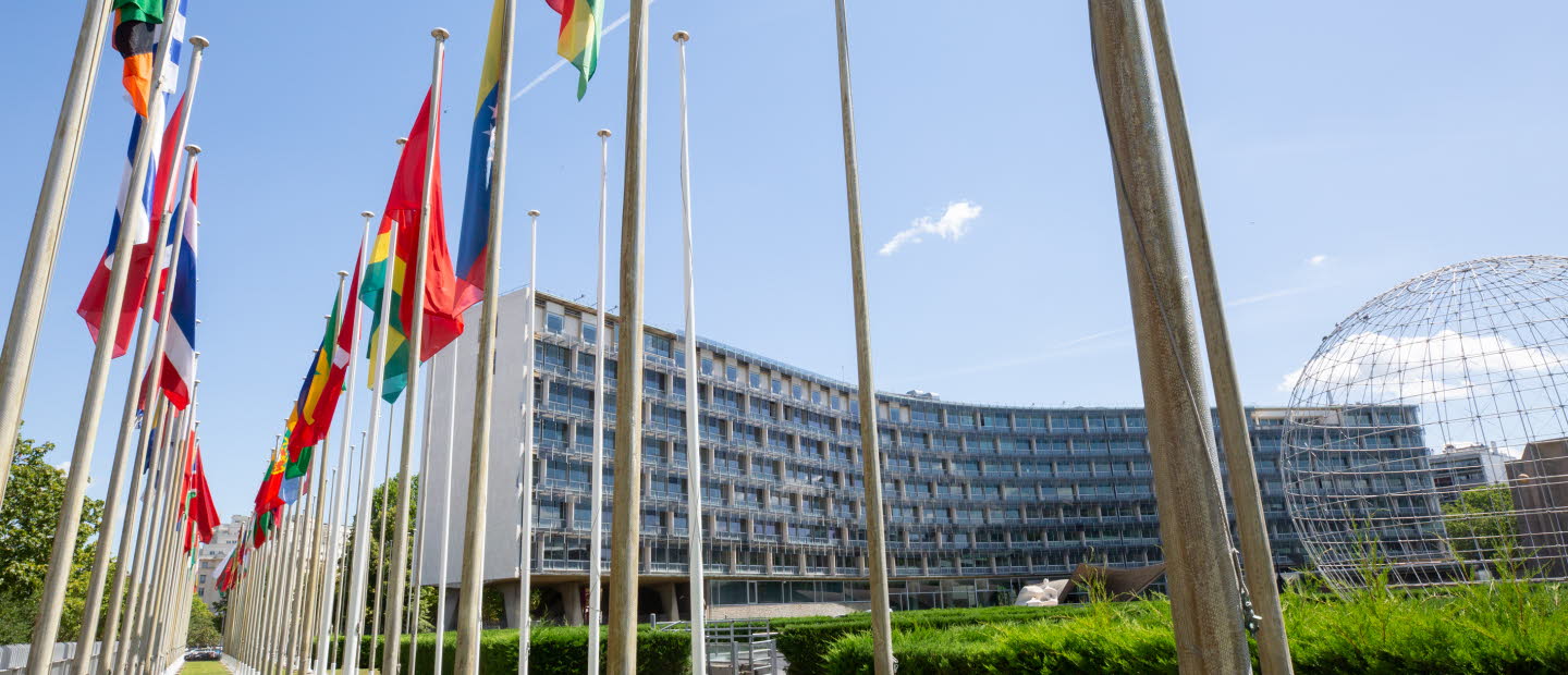 Flaggor utanför Unescos högkvarter i Paris.