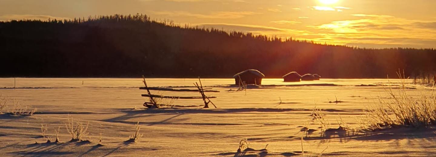 Vinterbild från myr med lador i bakgrunden och en lågt stående sol.