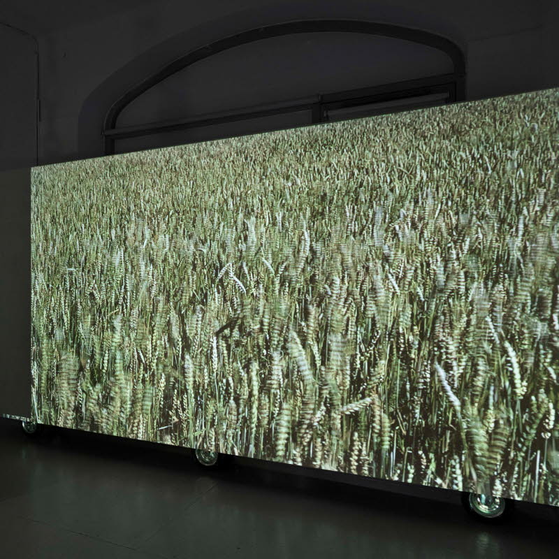 En projektion av en åker visas i en utställningslokal.