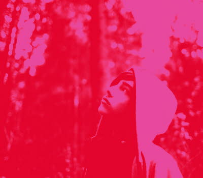 Omslag Statistikrapport Rosa bild på en pojke i en skog