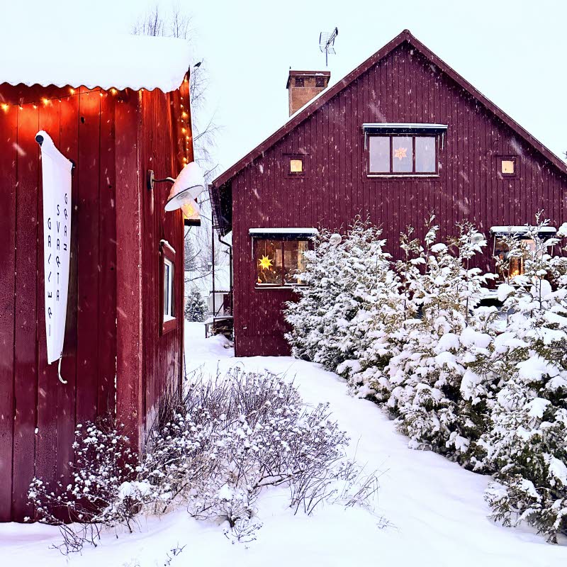 Två röda hus i vinterlandskap.