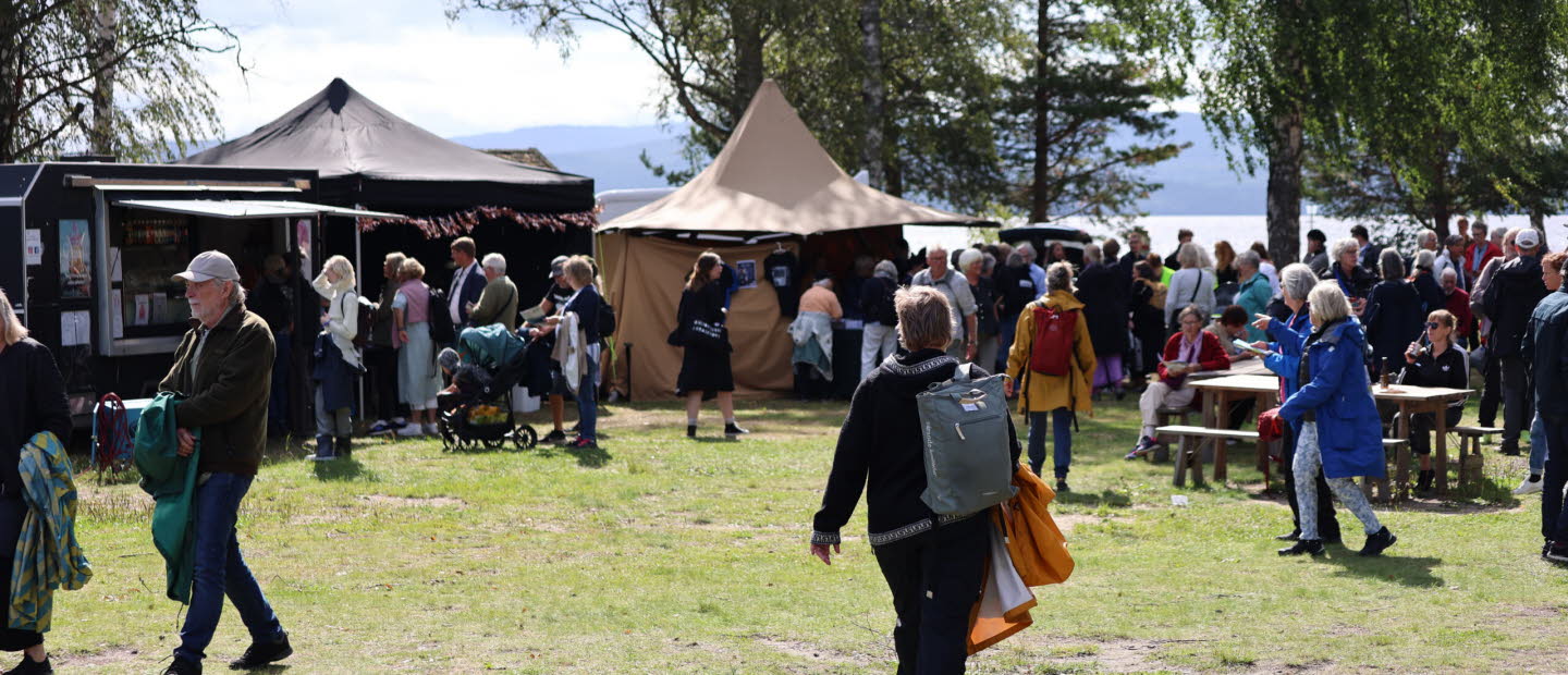 Festivalområde utomhus i Ådalen.