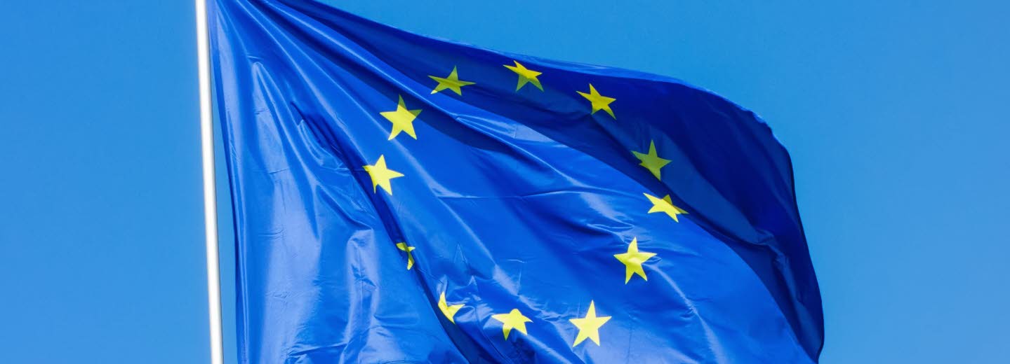 Bild på EU-flaggan. Blå bakgrund med gula stjärnor i en cirkel.