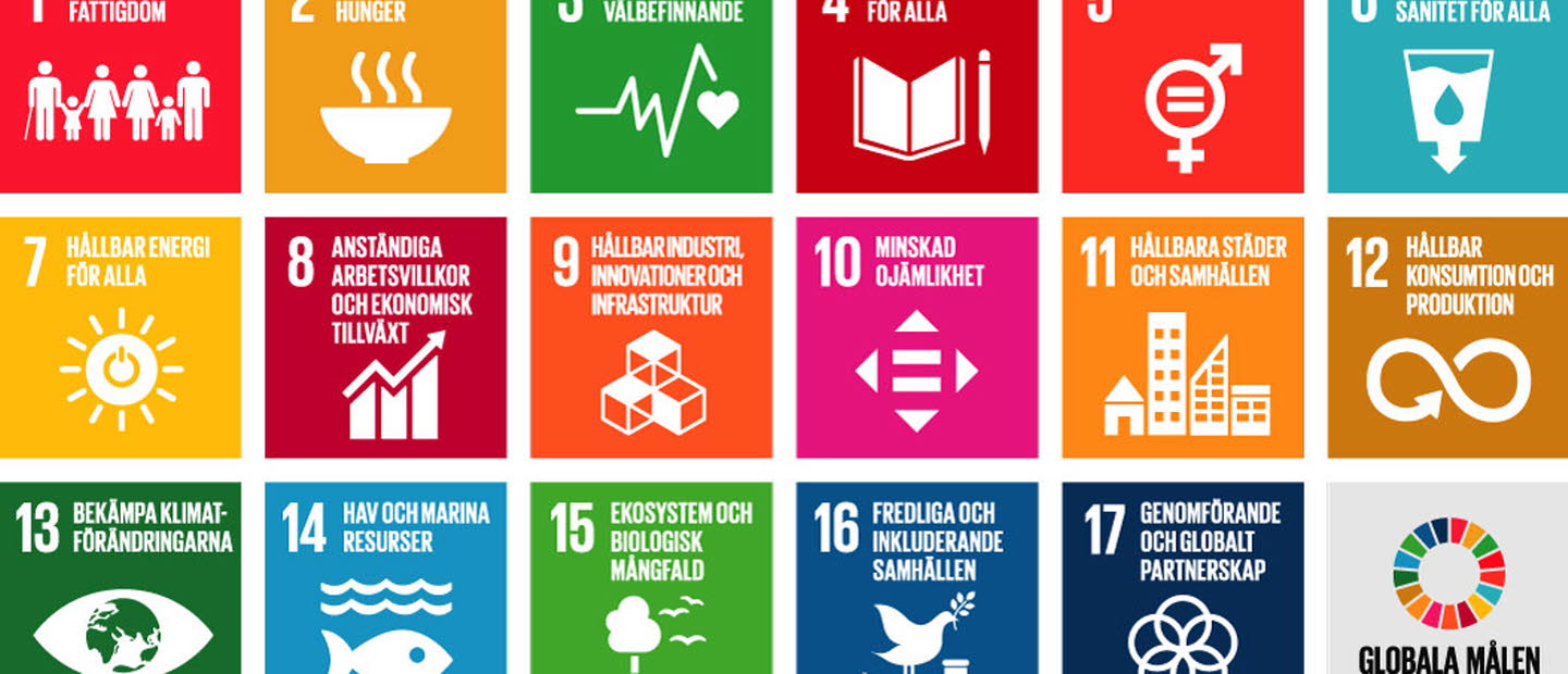 De sjutton globala målen för hållbar utveckling.